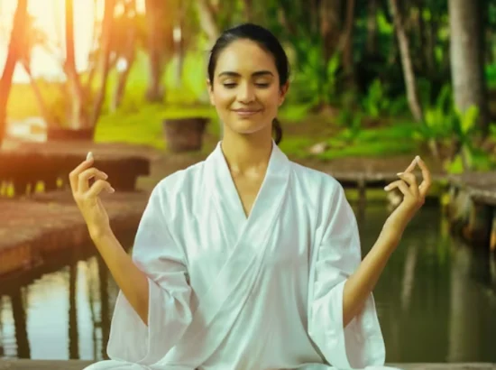 Stress Relief and Mental Wellness: Ayurvedic Approach to a Calm Mind